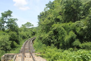 オートで撮影することは簡単で、そして難しい!?