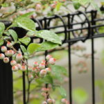 雨の日の撮影の方法について