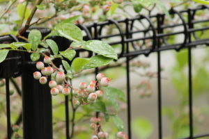 雨の日の撮影の方法について