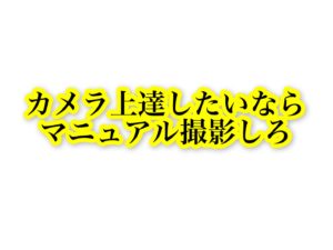 カメラを上達したい人がマニュアル撮影をすべき5つの理由