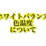 ホワイトバランスと色温度を知って写真に活かそう